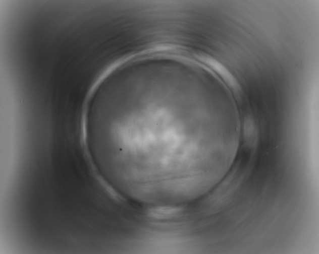 X0000092091294200709262116