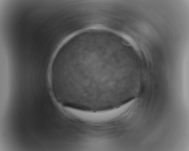 X0000092091295200709262116