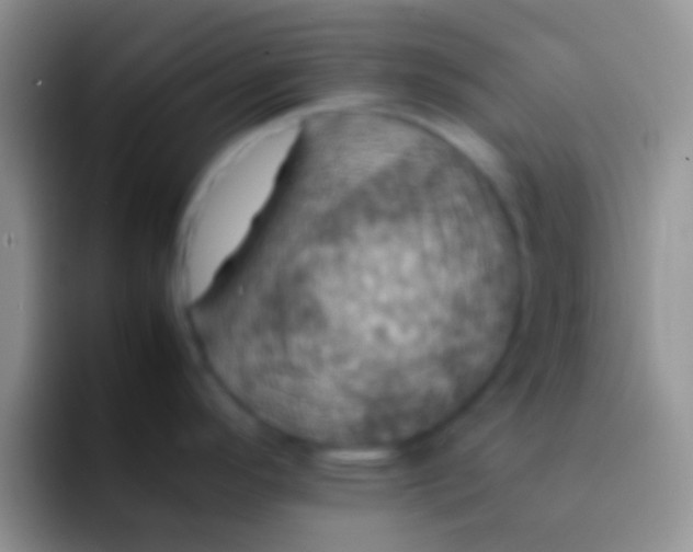 X0000092091296200709262116