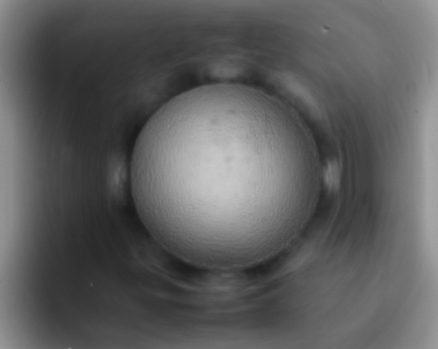 X0000092091299200709262115