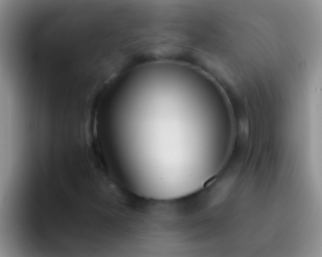X0000092091300200709262115