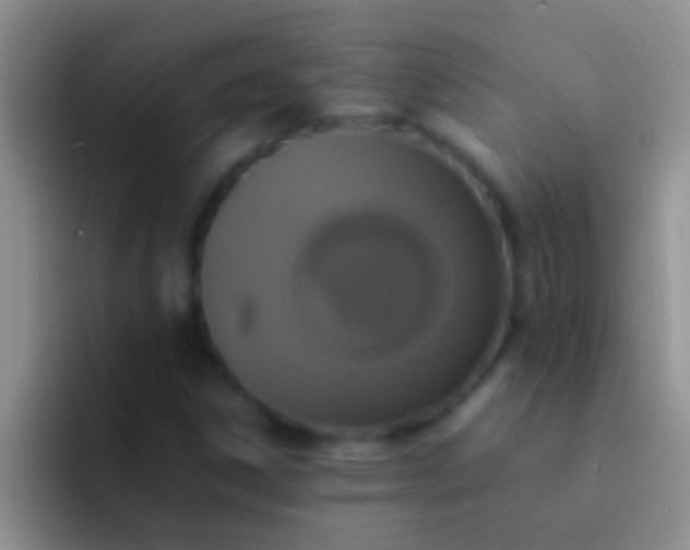 X0000092091306200709262115