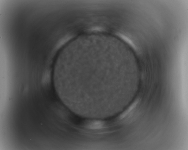 X0000092091309200709262115