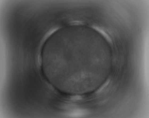 X0000092091317200709262116