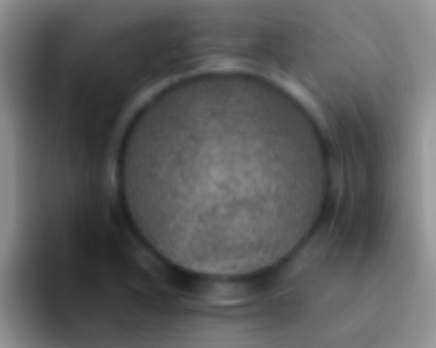 X0000092091318200709262116