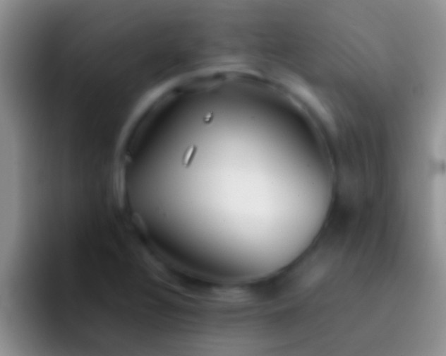 X0000092091320200709262116