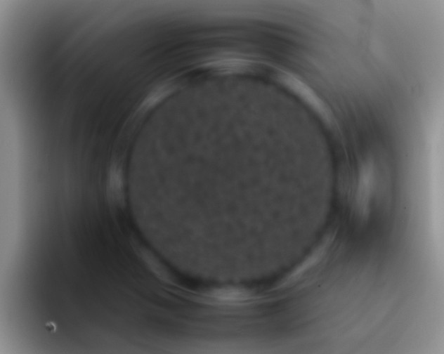 X0000092091321200709262116