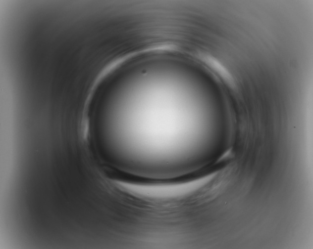 X0000092091324200709262116