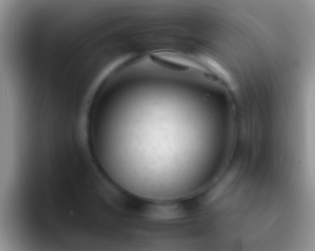 X0000092091325200709262116