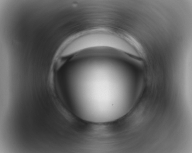 X0000092091332200709262116