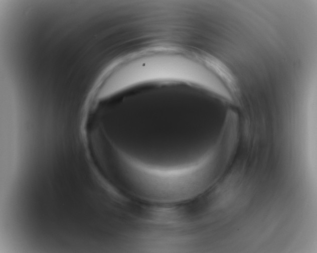 X0000092091334200709262116