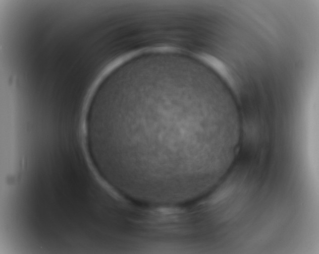 X0000092091335200709262116