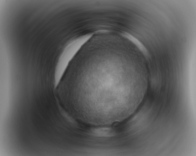 X0000092091337200709262116