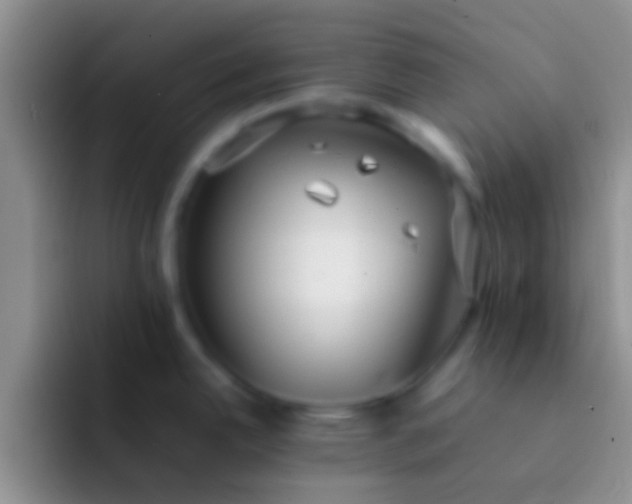 X0000092091342200709262116
