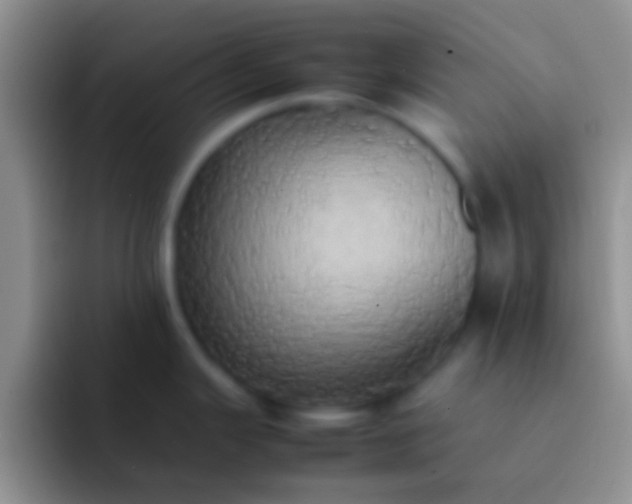 X0000092091343200709262116