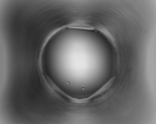 X0000092091344200709262116