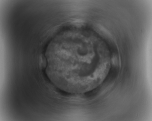 X0000092091347200709262115