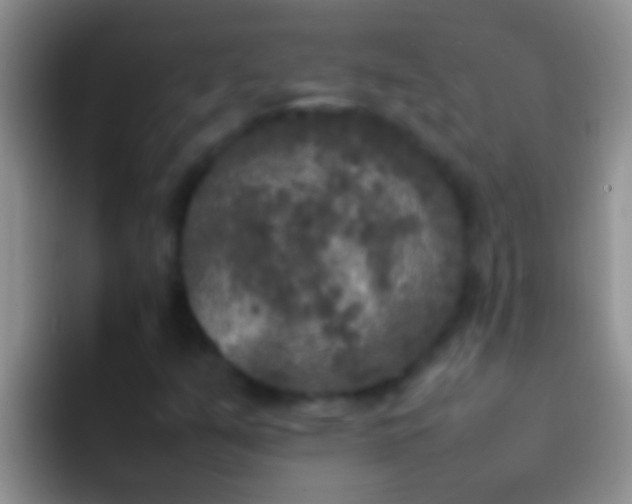 X0000092091351200709262115