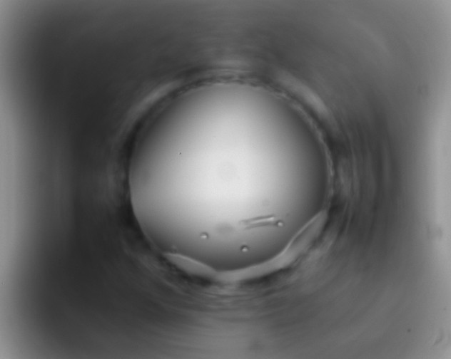 X0000092091352200709262115