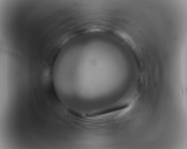 X0000092091353200709262115