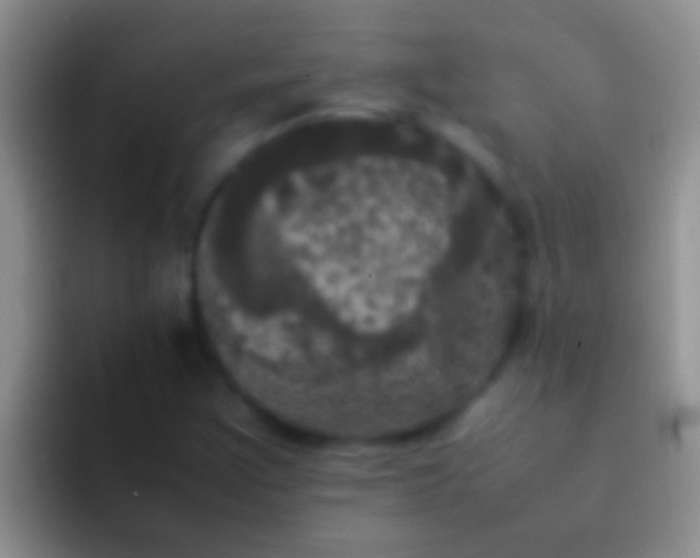 X0000092091355200709262115