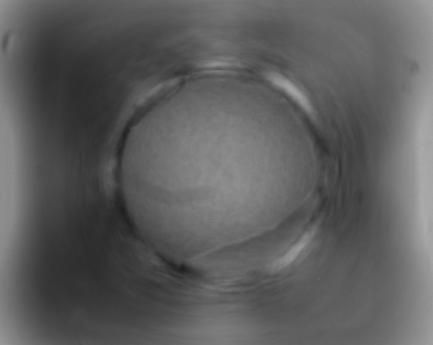 X0000092091357200709262115