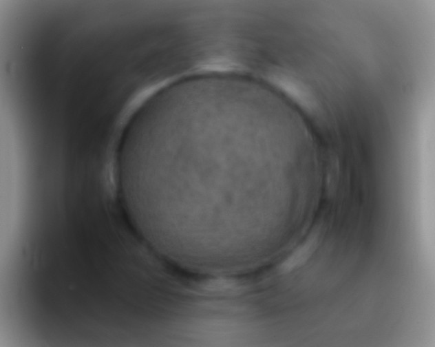 X0000092091358200709262115