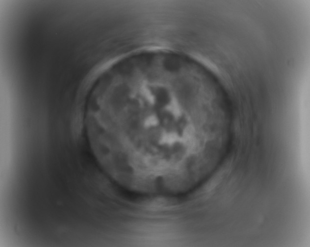 X0000092091359200709262115
