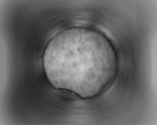 X0000092091362200709262115