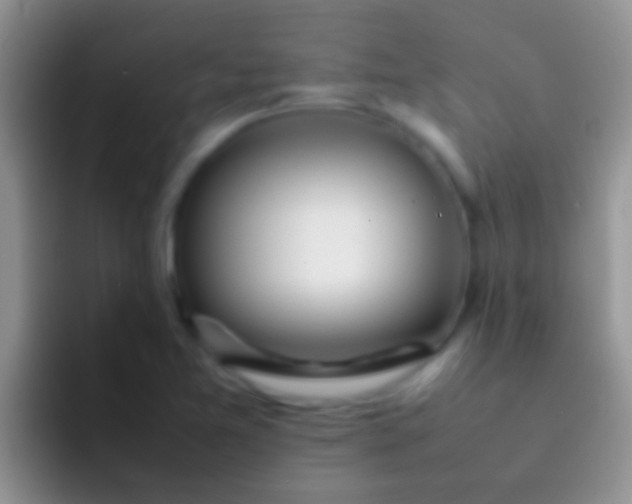 X0000092091365200709262115