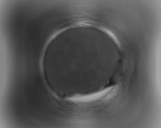 X0000092091373200709262115