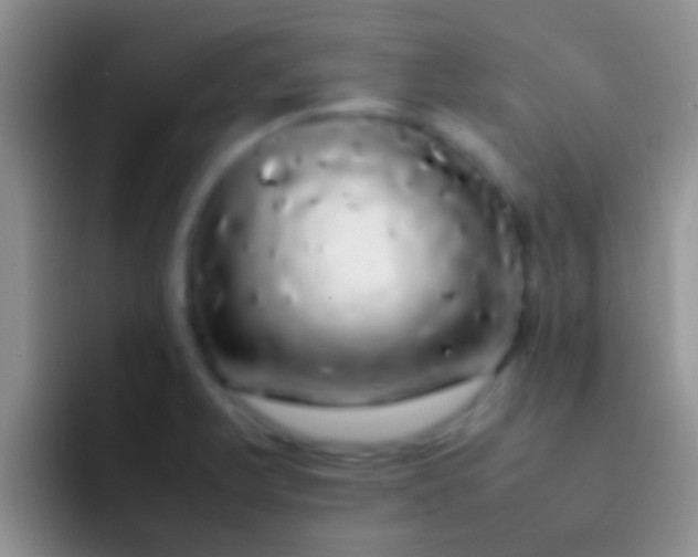 X0000092091375200709262115