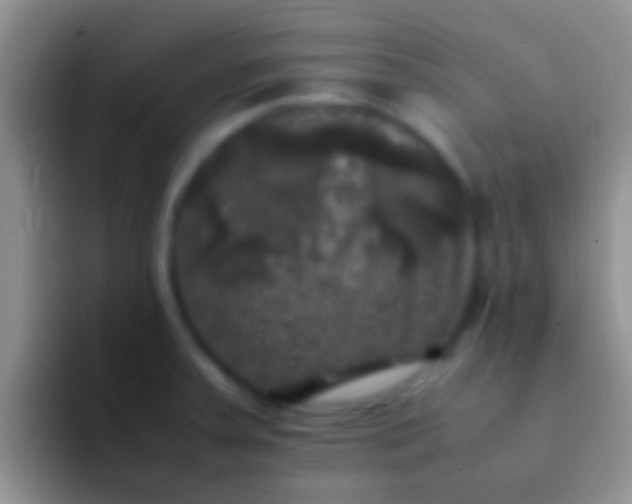 X0000092091379200709262115