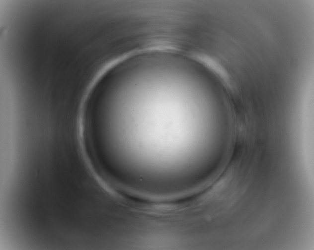 X0000092091383200709262115