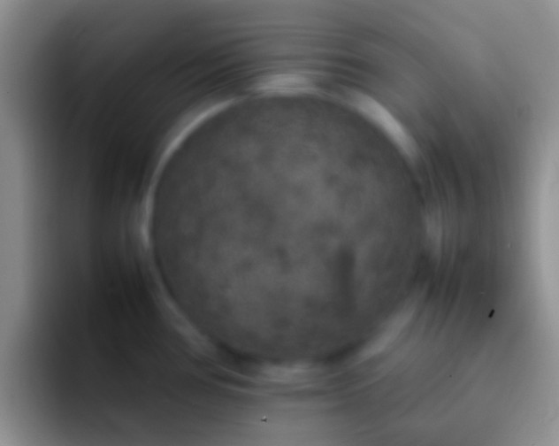 X0000092091386200709262115