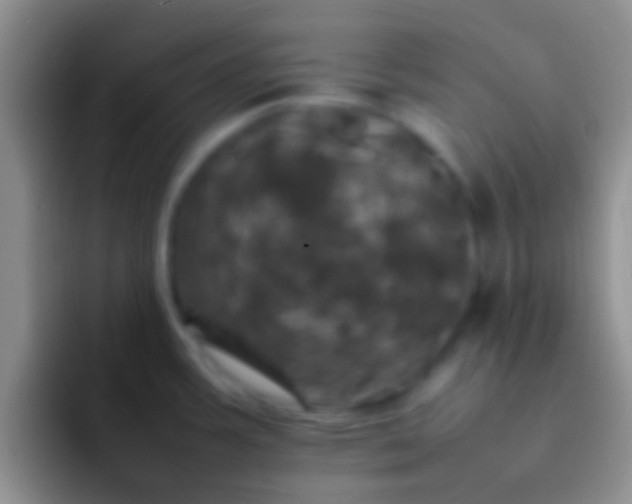 X0000092091387200709262115
