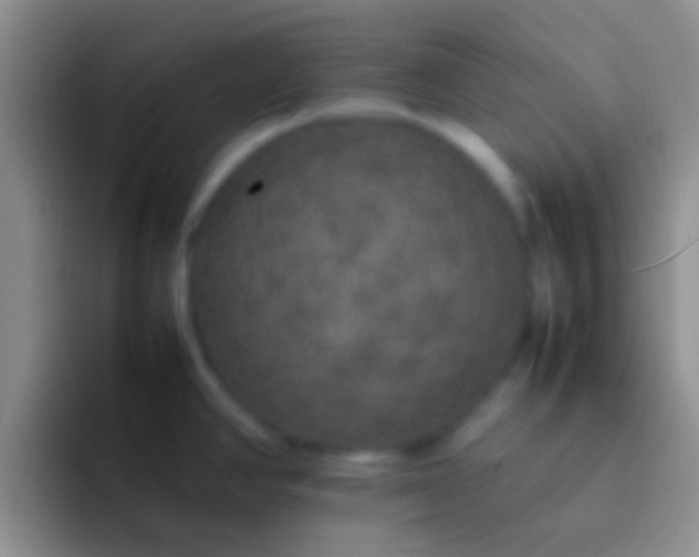 X0000092091390200709262115