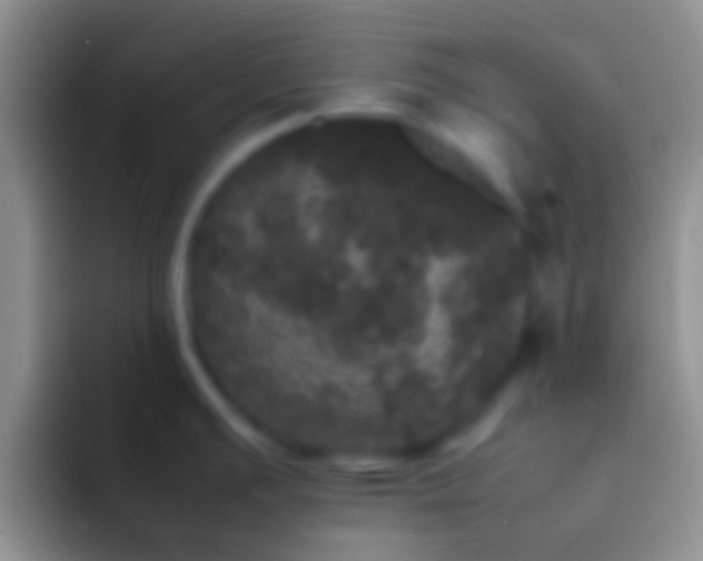 X0000092091391200709262115