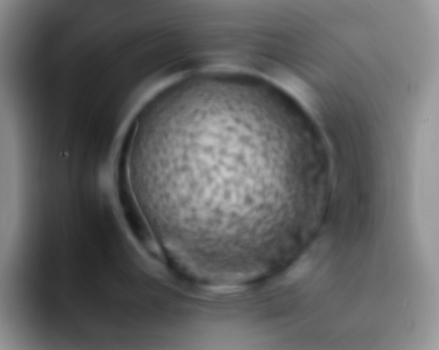 X0000092091392200709262115