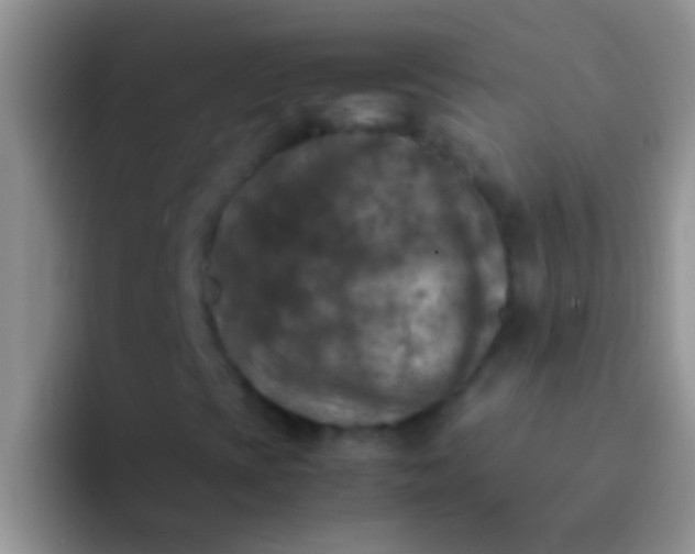 X0000092091393200709262114