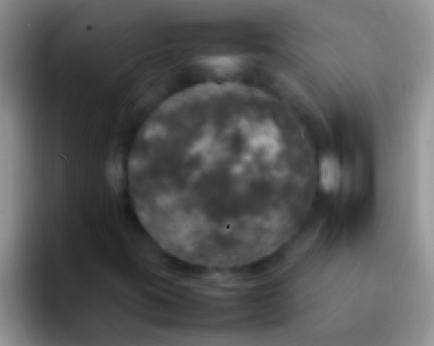 X0000092091395200709262114