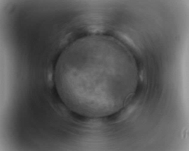 X0000092091396200709262114