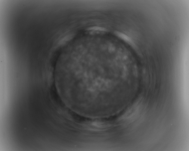 X0000092091399200709262114