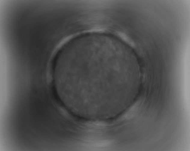 X0000092091400200709262114