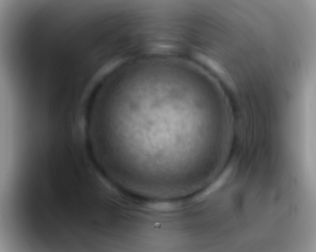 X0000092091402200709262114