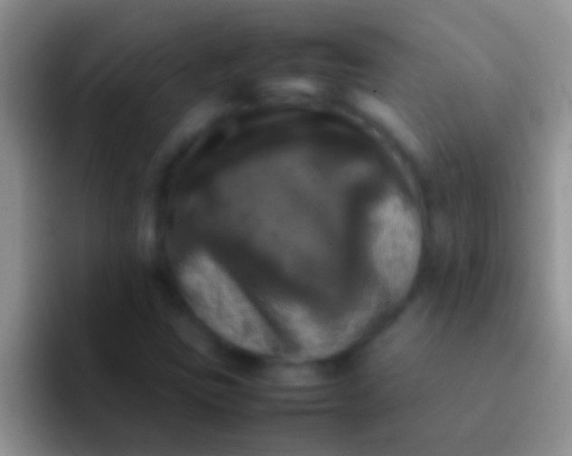 X0000092091403200709262114