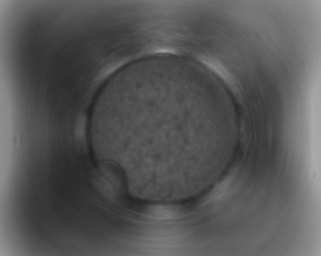 X0000092091404200709262114