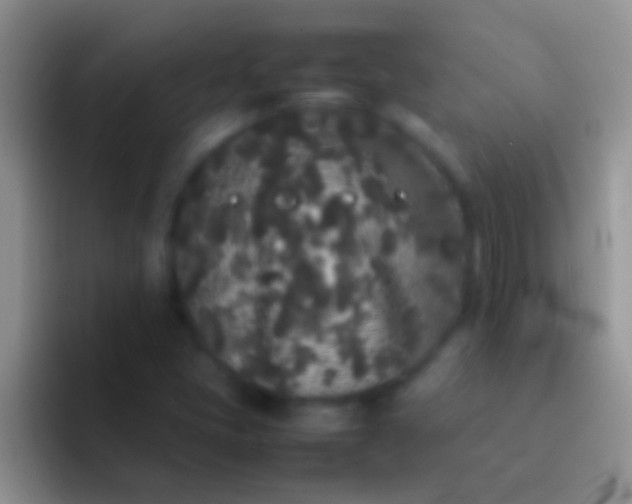 X0000092091405200709262114