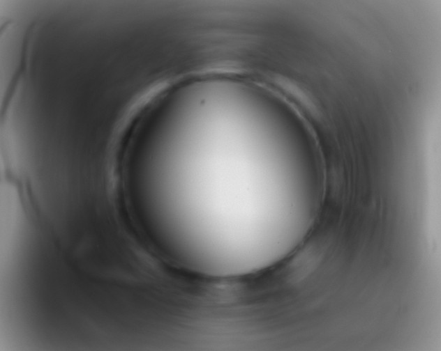 X0000092091406200709262114