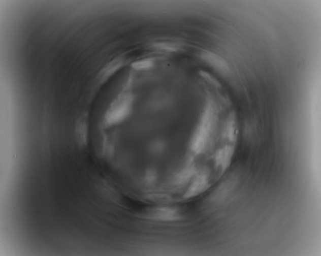 X0000092091409200709262114